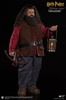 фотография My Favorite Movie Series Rubeus Hagrid Deluxe Ver. 