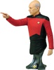 фотография Masterpiece Collection Maxi Bust Star Trek Captain Jean Luc Picard