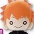 Nitotan Haikyuu!! Ooki Nuigurumi: Hinata Shouyou