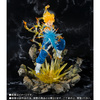 фотография Figuarts ZERO Vegetto SSJ