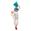 фотография Dragon Ball Gals Bulma Arabian ver.