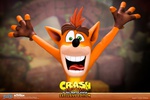 фотография Crash Bandicoot Exclusive Edition