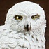 Magic World Magic Animal Collection: Hedwig (Owl)