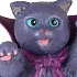 Full of monster cats: Dracula cat