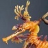 Ikimono Encyclopedia Leafy Sea Dragon Yellow Ver.