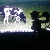 blog avatar