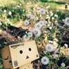 blog avatar
