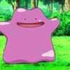 blog avatar