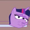 blog avatar