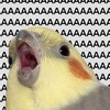 blog avatar