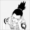 blog avatar