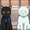 blog avatar