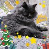 blog avatar
