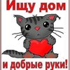 blog avatar