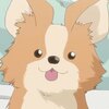 blog avatar