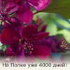 blog avatar