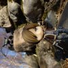 blog avatar