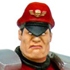 M.Bison