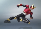 фотография S.H.Figuarts Kamen Rider Kuuga Mighty Form
