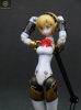 фотография Aigis Color Resin Kit