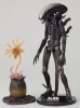 фотография Sci-Fi Revoltech No.001 Alien