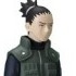 Bandai Kyukyoku Shinobi Taikei 2: Nara Shikamaru