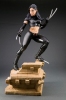 фотография Fine Art Statue X-23