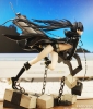 фотография Black ★ Rock Shooter Animation Ver.