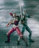 фотография S.I.C. Kiwami Tamashii Kamen Rider Ryuki