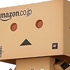 Mini Danboard Amazon Box Ver.