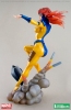 фотография MARVEL Bishoujo Statue Jean Grey