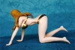 фотография Sonken Chuubou Swimsuit 2 Gold Ver.