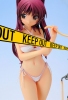 фотография Kousaka Tamaki Swimsuit illustration ver.