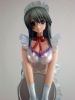 фотография Tomoyo Sakagami R.D Selection Vol.3 Apron Ver.