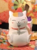 фотография Madara (Nyanko-sensei)