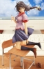 фотография Hanekawa Tsubasa