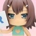 Nendoroid Petit Baka to Test to Shoukanjuu: Kinoshita Hideyoshi