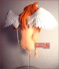 фотография Soryu Asuka Langley Angel Version   