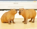 фотография Dokidoki Animal Series : Capybara Seated Ver.