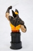 фотография Fine Art Bust Wolverine Brown Ver.