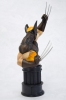 фотография Fine Art Bust Wolverine Brown Ver.