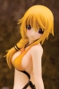 фотография Charlotte Dunois Swimsuit Ver.