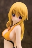 фотография Charlotte Dunois Swimsuit Ver.