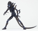 фотография SCI-FI Revoltech No.016 Alien Warrior 