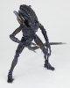 фотография SCI-FI Revoltech No.016 Alien Warrior 