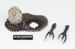 фотография SCI-FI Revoltech No.016 Alien Warrior 