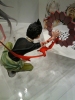 фотография Igarashi Ganta