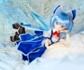 фотография Mini Dollfie Dream: Cirno