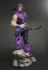 фотография Fine Art Statue Hawkeye