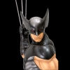 фотография Fine Art Bust: Wolverine